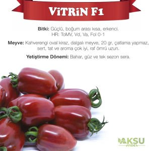 Vitrin F1 - Kahverengi Oval Domates Fidesi