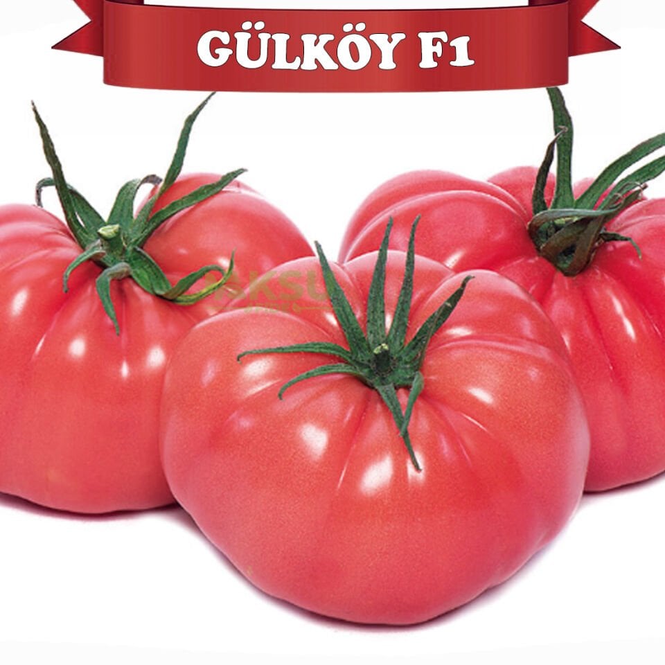 Gülköy F1 Pembe Köy Domates Tohumu