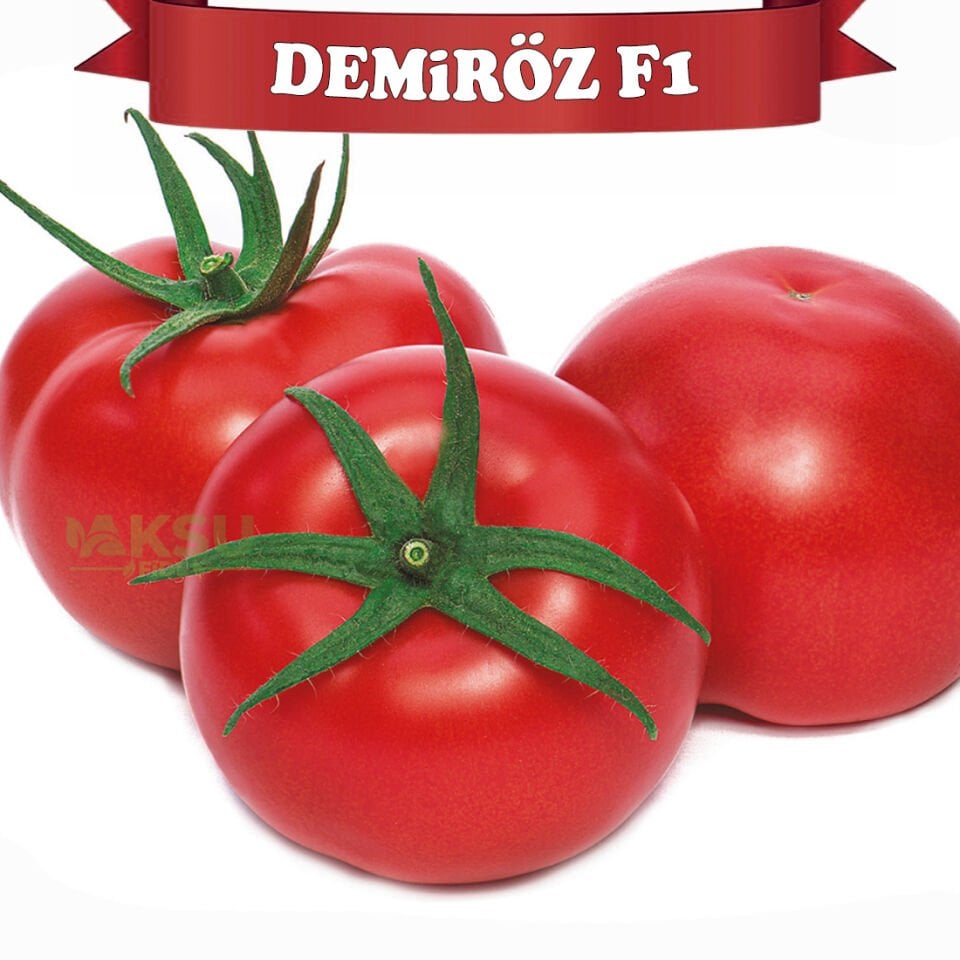 Demiröz F1 Sırık Domates Tohumu