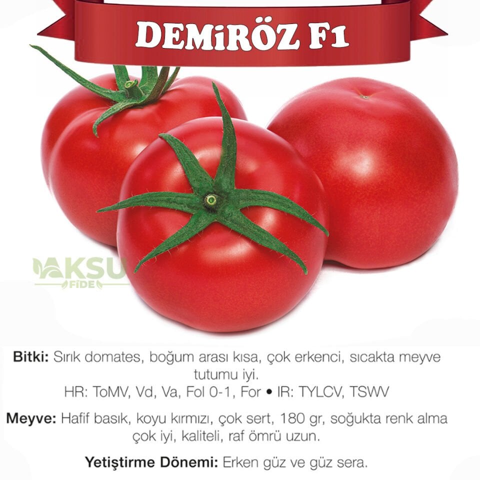 Demiröz F1 Sırık Domates Tohumu