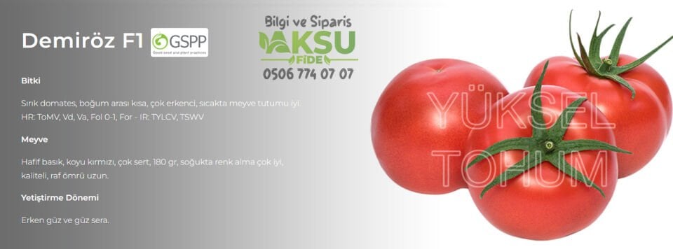 Demiröz F1 Sırık Domates Tohumu