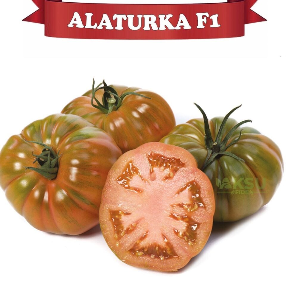Alaturka F1 - Sırık Köy Domatesi Tohumu