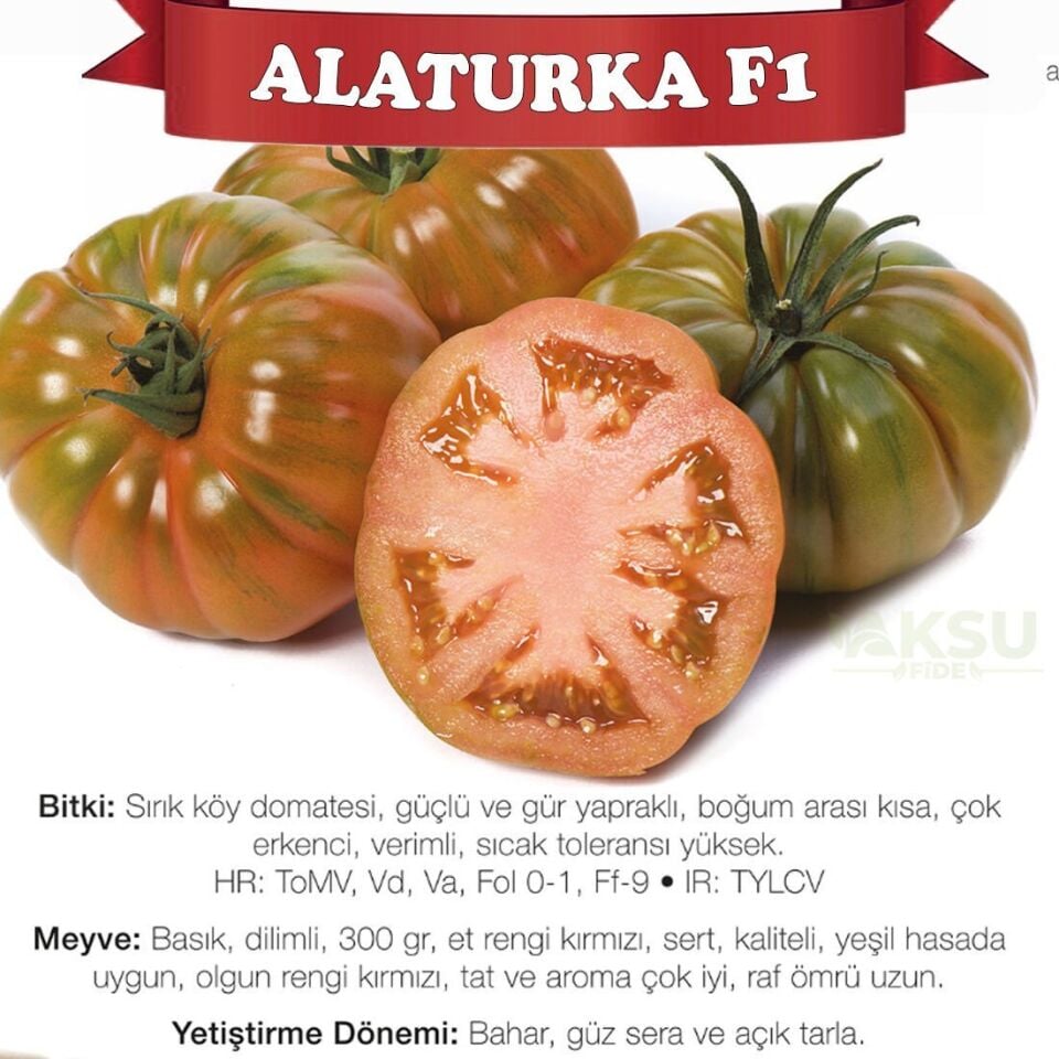 Alaturka F1 - Sırık Köy Domatesi Tohumu