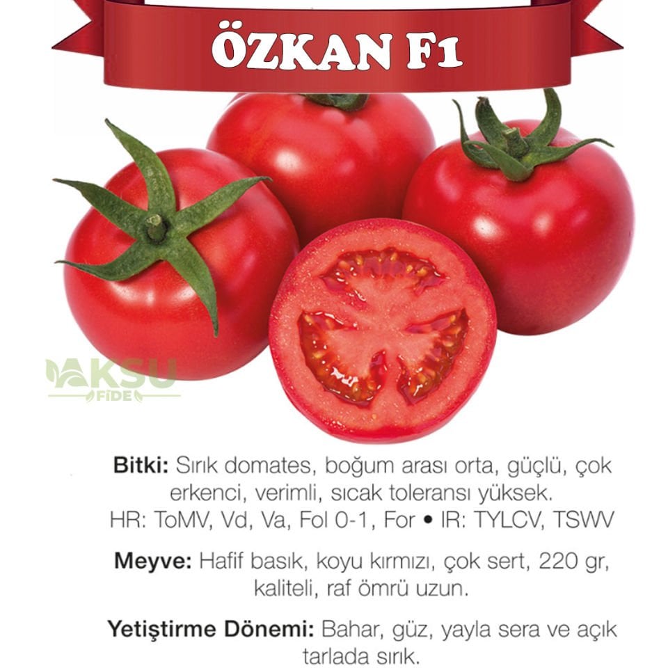 Özkan F1 Sırık Domates Tohumu