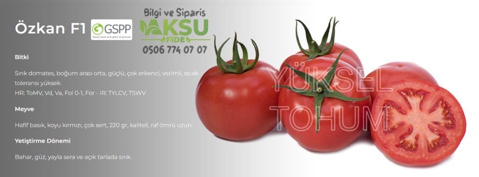Özkan F1 Sırık Domates Tohumu