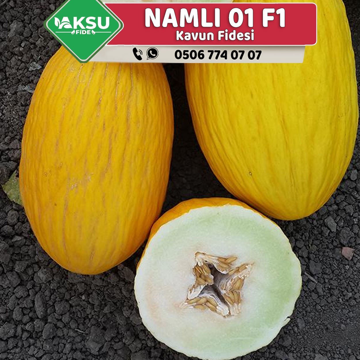 Namlı 01 F1 Kavun Fidesi