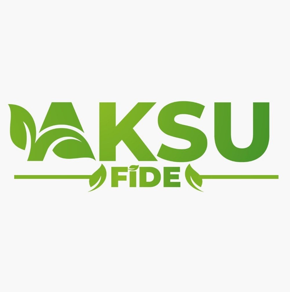 Dikenli Hıyar Fidesi